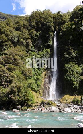 Atemberaubende Thunder Creek Falls in Neuseeland. Es ist 28 m hoher Wasserfall und mündet in den Haast River. Stockfoto