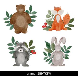 Aquarell Cartoon Waldtiere. Niedliches Set aus Hase, Teddy, Fuchs und Waschbär mit Blatt. Stockfoto