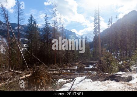 Beeindruckende Aussicht auf felsige Gipfel der Tatra Berge mit Schnee bedeckt im März Stockfoto