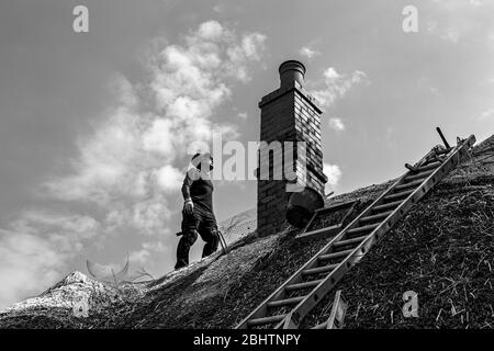 Thatcher auf dem Dach, Strohfotos, Handwerkerfotos, Dach Thatcher Fotos, Cottage Fotos, Haus Fotos, Fotos wiederherstellen, Weidenfotos, Stockfoto