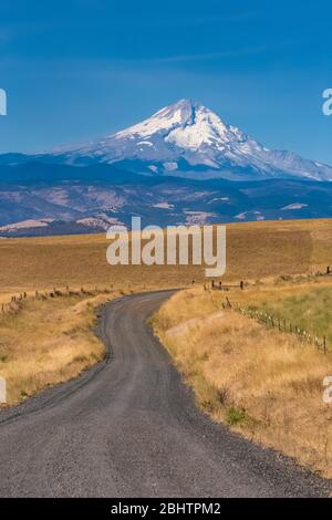 Mount Hood mit der Dalles Mountain Road, die sich durch Grasland im Columbia Hills Historical State Park, Washington State, USA schlängelt Stockfoto