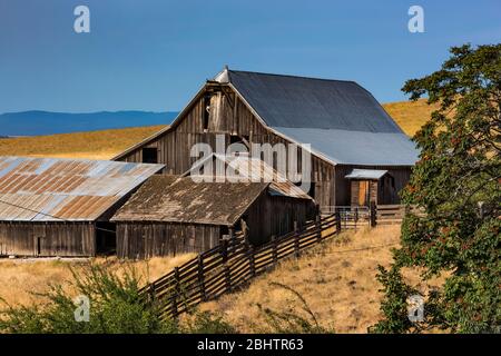 Historische Dalles Mountain Ranch im Columbia Hills Historical State Park, Washington State, USA Stockfoto