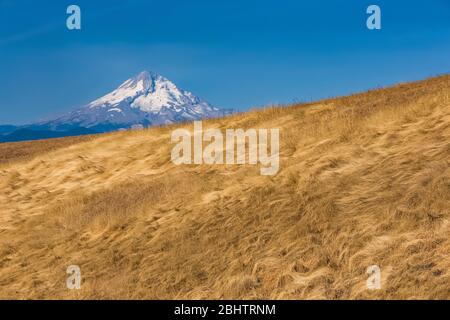 Mount Hood von der Dalles Mountain Road im Columbia Hills Historical State Park, Washington State, USA Stockfoto