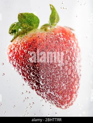 Nahaufnahme einer einzigen roten Erdbeere mit grüner Kappe in klare Flüssigkeit mit winzigen Blasen auf weißem Hintergrund getaucht. Stockfoto