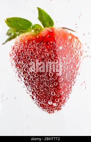 Nahaufnahme einer einzigen roten Erdbeere mit grüner Kappe in klare Flüssigkeit mit winzigen Blasen auf weißem Hintergrund getaucht. Stockfoto