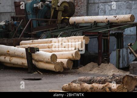Entfernung der Rinde von den großen Balken auf dem Sägewerk. Die Vorbereitung der hölzernen Balken bis zum Sägen auf der Schnittlinie auf dem Sägewerk. Die Holzindustrie. Ein Haufen von Baumstämmen liegt Stockfoto