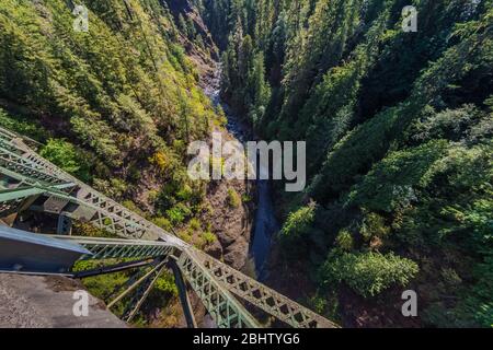 Blick hinunter auf den South Fork Skokomish River von der High Steel Bridge, die ursprünglich für den Holzbau von Zügen gebaut wurde, im Olympic National Forest, Washington State, USA Stockfoto