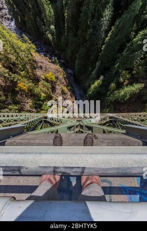 Blick hinunter auf den South Fork Skokomish River von der High Steel Bridge, die ursprünglich für den Holzbau von Zügen gebaut wurde, im Olympic National Forest, Washington State, USA Stockfoto