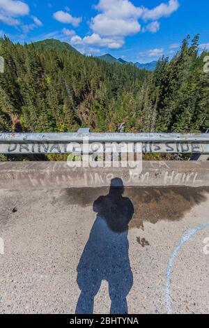 Blick hinunter auf den South Fork Skokomish River von der High Steel Bridge, die ursprünglich für den Holzbau von Zügen gebaut wurde, im Olympic National Forest, Washington State, USA Stockfoto