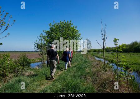 Menschen, die auf einem kleinen Weg durch die ländliche Gegend 'het groene hart' in Westholland zu Fuß Stockfoto