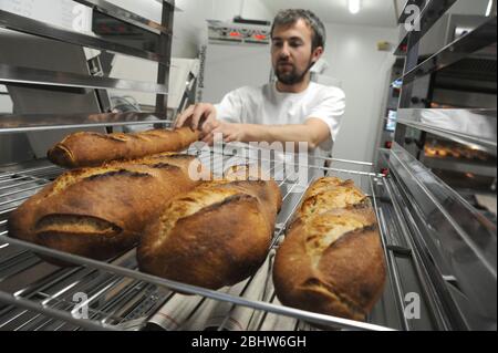 Herstellung von Bio-Brot Stockfoto