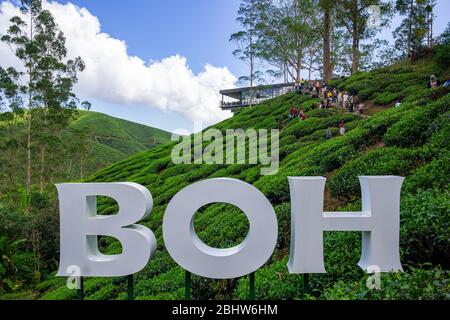 Cameron, Malaysia - 08 Feb 2019: Die Boh Tea Company wurde 1929 gegründet und ist eine der berühmten Teemarken in Malaysia. Eines der landschaftlich schönsten Highlights Stockfoto