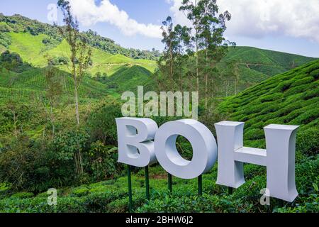 Cameron, Malaysia - 08 Feb 2019: Die Boh Tea Company wurde 1929 gegründet und ist eine der berühmten Teemarken in Malaysia. Eines der landschaftlich schönsten Highlights Stockfoto