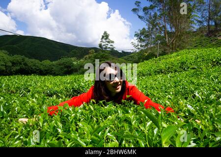 Die Boh Tea Company wurde 1929 gegründet und ist eine der berühmten Teemarken in Malaysia. Einer der Höhepunkte landschaftlich schönen Ort in Cameron Highlands, die V Stockfoto