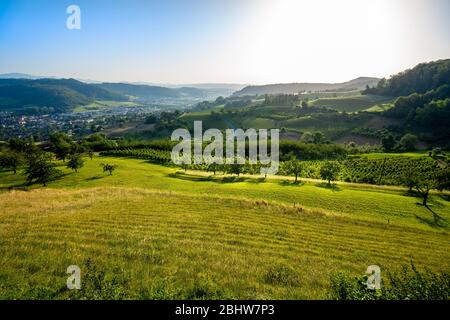 Blick auf ein saftig grünes Tal im Fricktal in der Schweiz Stockfoto