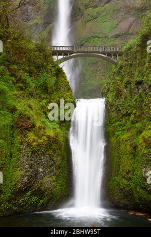 Historische Bogenbrücke über die Multnomah Falls in der Columbia River Gorge von Oregon Stockfoto