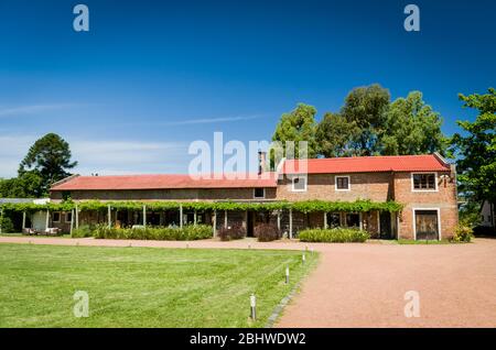 MONTEVIDEO, URUGUAY - 24. Dezember 2016: Berühmte Bodega Bouza, Weingut der feinen Weine aus uruguay. Stockfoto