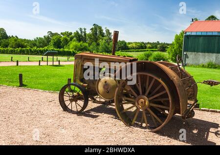 MONTEVIDEO, URUGUAY - 24. Dezember 2016: Berühmte Bodega Bouza, Weingut der feinen Weine aus uruguay. Stockfoto