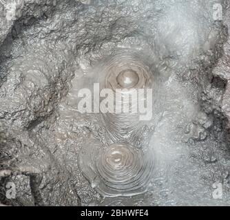 Schlamm-Pool, blubbernden Schlamm Topf, heißen Frühling, Te Puia, Whakarewarewa, Rotorua, Neuseeland Stockfoto