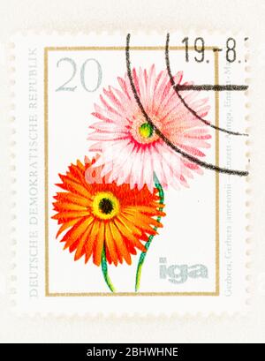 SEATTLE WASHINGTON - 26. April 2020: 1975 Ostdeutsche Briefmarke mit Gerbera jamesonii Blumen. Scott #1672 Stockfoto