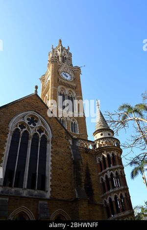 MUMBAI, INDIEN - 7. Februar 2019: Der viktorianische Rajabai Uhrturm der Mumbai University (früher Bombay) in Mumbai, Indien Stockfoto