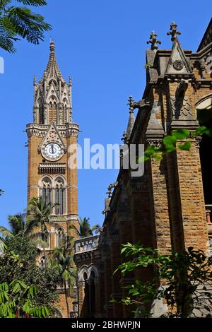 MUMBAI, INDIEN - 7. Februar 2019: Der viktorianische Rajabai Uhrturm der Mumbai University (früher Bombay) in Mumbai, Indien Stockfoto