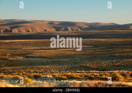 Blick auf das Plateau von der Gannaga Lodge, dem Gannaga Pass, dem Tankwa Karoo Nationalpark, Südafrika Stockfoto