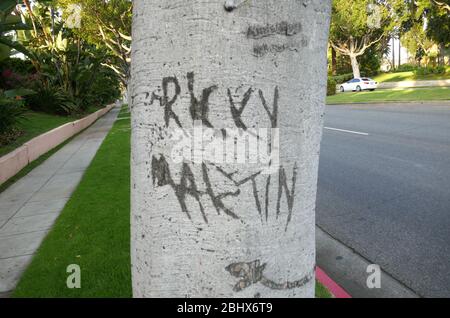 Beverly Hills, Kalifornien, USA 27. April 2020 EIN allgemeiner Blick auf die Atmosphäre von Ricky Martin, die in Baum und leeren Straßen wegen der Coronavirus Covid-19-Pandemie und Menschen, die während ihres Aufenthalts zu Hause soziale Distanzierung praktizieren, am 27. April 2020 in Beverly Hills, Kalifornien, USA, geschnitzt wurde. Foto von Barry King/Alamy Stock Photo Stockfoto