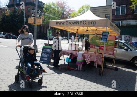 New York City, Usa. April 2020. Die Menschen stellen sich auf einem Bauernmarkt in Brooklyn inmitten der Coronavirus-Krise.Da die USA 50,000 bestätigte Todesfälle durch Coronavirus übertreffen, deuten die Antikörpertests des Staates New York darauf hin, dass 14.9% der New yorker Covid-19 positiv bewerten. Quelle: SOPA Images Limited/Alamy Live News Stockfoto