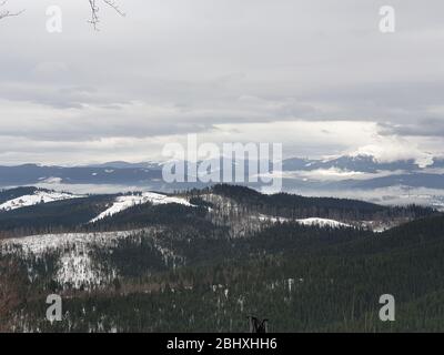 Schneebedeckte Berge mit Bäumen im Winter Stockfoto