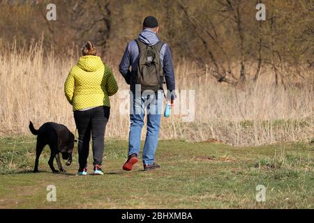 Ein Paar, das einen Hund an der Leine im Frühlingswald spazieren geht. Pflege für ein Haustier während der Coronavirus-Pandemie, Freizeit in der Natur Stockfoto