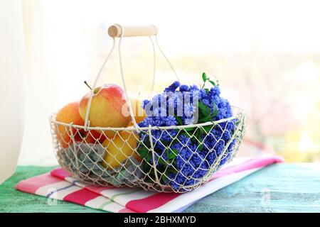 Schönes Bouquet von Muscari - Hyazinthe mit Früchten in Metallkorb auf Fensterbank Stockfoto