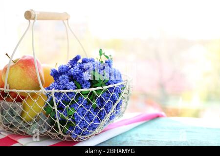 Schönes Bouquet von Muscari - Hyazinthe mit Früchten in Metallkorb auf Fensterbank Stockfoto
