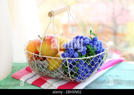 Schönes Bouquet von Muscari - Hyazinthe mit Früchten in Metallkorb auf Fensterbank Stockfoto