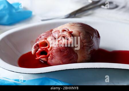 Herzorgan in medizinischen Metalltablett auf dem Tisch Nahaufnahme Stockfoto