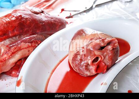 Herzorgan in medizinischen Metalltablett Nahaufnahme Stockfoto