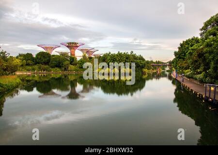 Beleuchtete super Olivenhainen an der Bucht Vorgärten auch wie die Gärten an den Bay bekannt bei Nacht, Bay Front, Marina Bay, Singapore, PRADEEP SUBRAMANIAN Stockfoto