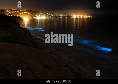 Die Meereswellen am Blacks Beach leuchten bei einer Rottide in La Jolla, Kalifornien, mit Biolumineszenz in der Nacht. Stockfoto
