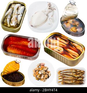 Einstellen der sortierten Fische und Meeresfrüchte. Roh- und Halbfertigerzeugnisse Stockfoto