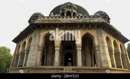 Hund auf Stufen von muhammad shahs Grab in delhi Stockfoto