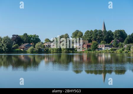 Neukirchener See, Neukirchener See, Bad Malente-Neukirchen, Holstein Schweiz, Ostholstein oder Kreis Ostholsteinisch, Schleswig-Holstein, Deutschland Stockfoto