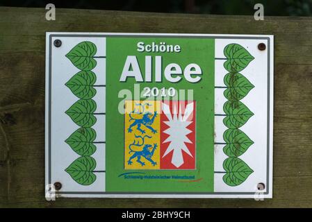 Gasse, mit Auszeichnung 'Schoene Allee 2010' oder 'schöne Gasse', Bad Malente-Rachut, Kreis Ostholstein, Schleswig-Holstein, Norddeutschland, Europa Stockfoto