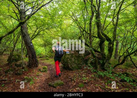 Trekking in den Bergen des Borjomi-Kharagauli Nationalpark in Kleineren Kaukasus. Borjomi, Georgien Stockfoto