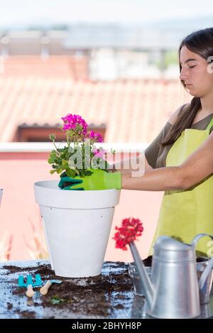 Jugendliche tragen eine Gärtnerschürze, während sie an einem sonnigen Tag auf der Terrasse arbeiten Stockfoto