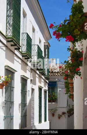 Blick auf die Altstadt mit Geranien in Töpfen an den Wänden, Arcos de la Frontera, Andalusien, Spanien Stockfoto