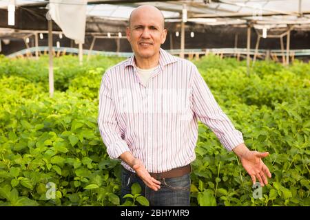 Portrait von zuversichtlich männlichen Bauern im Anbau von weißen Jute im Gewächshaus eingerückt Stockfoto