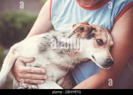 Mann hält schönen Street-Mix Hund in den Armen, hilft Hund, Hund Rettung Stockfoto