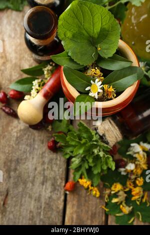 Kräuter, Beeren und Blumen mit Mörtel, Holz Tisch Hintergrund Stockfoto