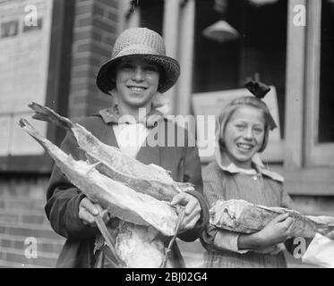 Freier Vertrieb von gefrorenem kanadischen Fisch in Bermondsey - 22. August 1919 Stockfoto