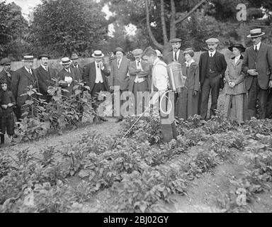 Schüler helfen, Zuteilhalter Kartoffeln in Ewell sprühen - 22 Juni 1917 9 Juli 1926 Stockfoto